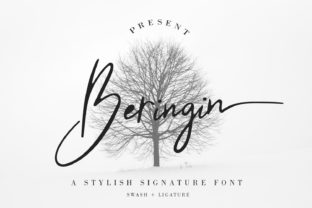 Beringin: A Script Font That Elevates Digital Branding