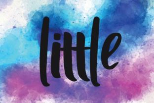 Little: A Script Font for Editorial Design and Creative Expression