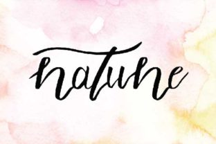 Natune Script Font Review