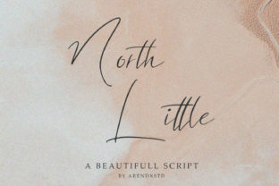 North Little: A Script Font That Adds Elegance to Campaigns