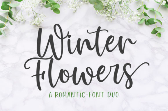 Winter Flowers: A Refined Script Font for Editorial Warmth
